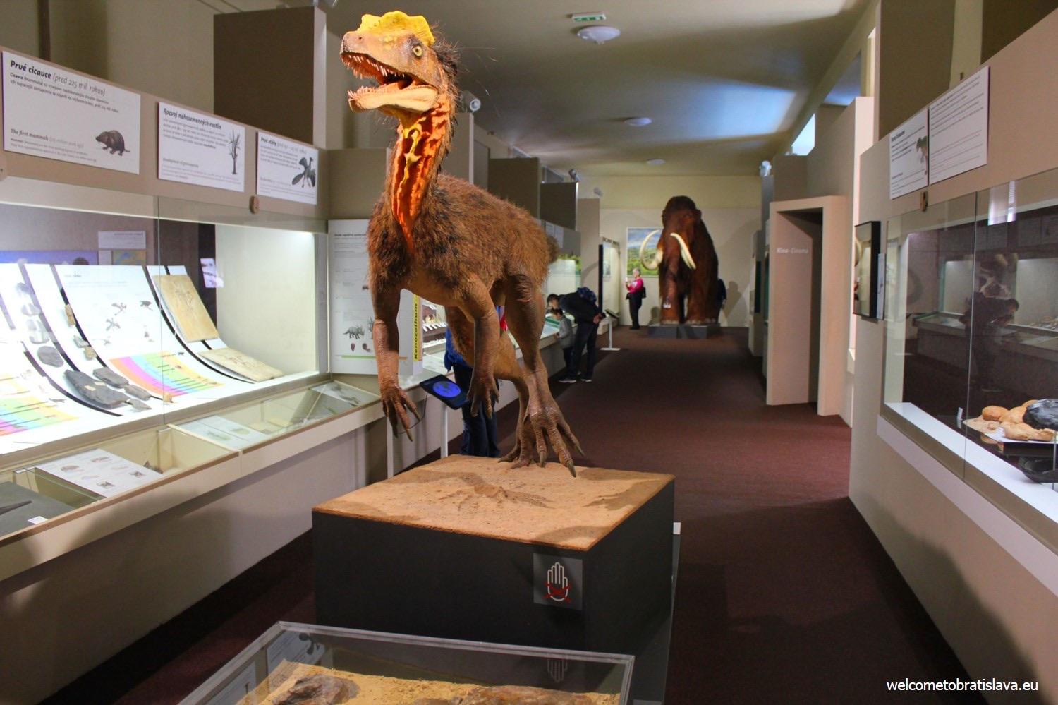 Free entry - Every First Sunday in Month - Slovak National Museum