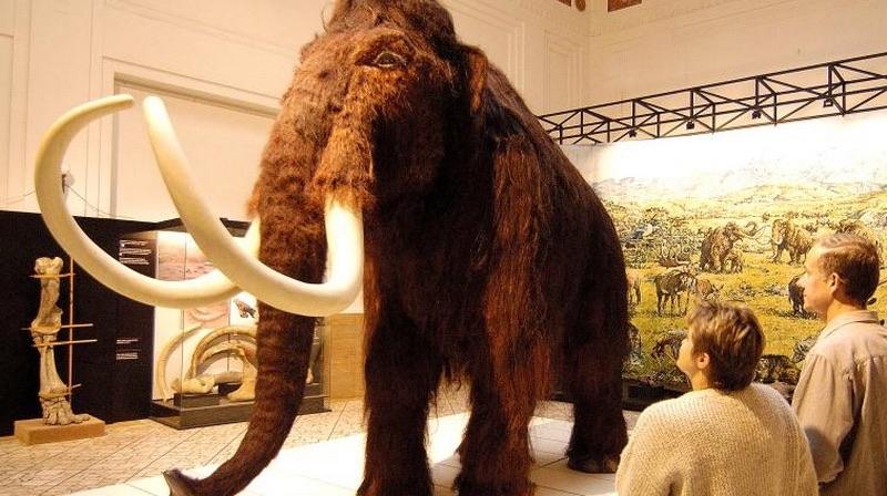 Free entry - Every First Sunday in Month - Slovak National Museum